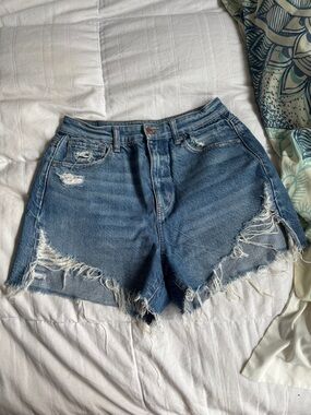American Eagle Outfitters Distressed Light Blue Denim Jean Shorts